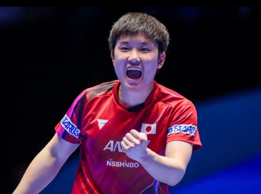 不足以体现 不足以体现