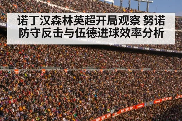 football stadium crowd