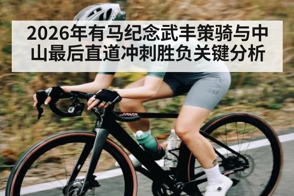 2026年有马纪念武丰策骑与中山最后直道冲刺胜负关键分析